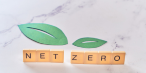 net zero financial planner colorado springs explains decarbonization